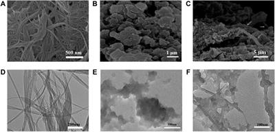 Boosting the Electrochemical Performance of PI-5-CA/C-SWCNT Nanohybrid for Sensitive Detection of E. coli O157:H7 From the Real Sample